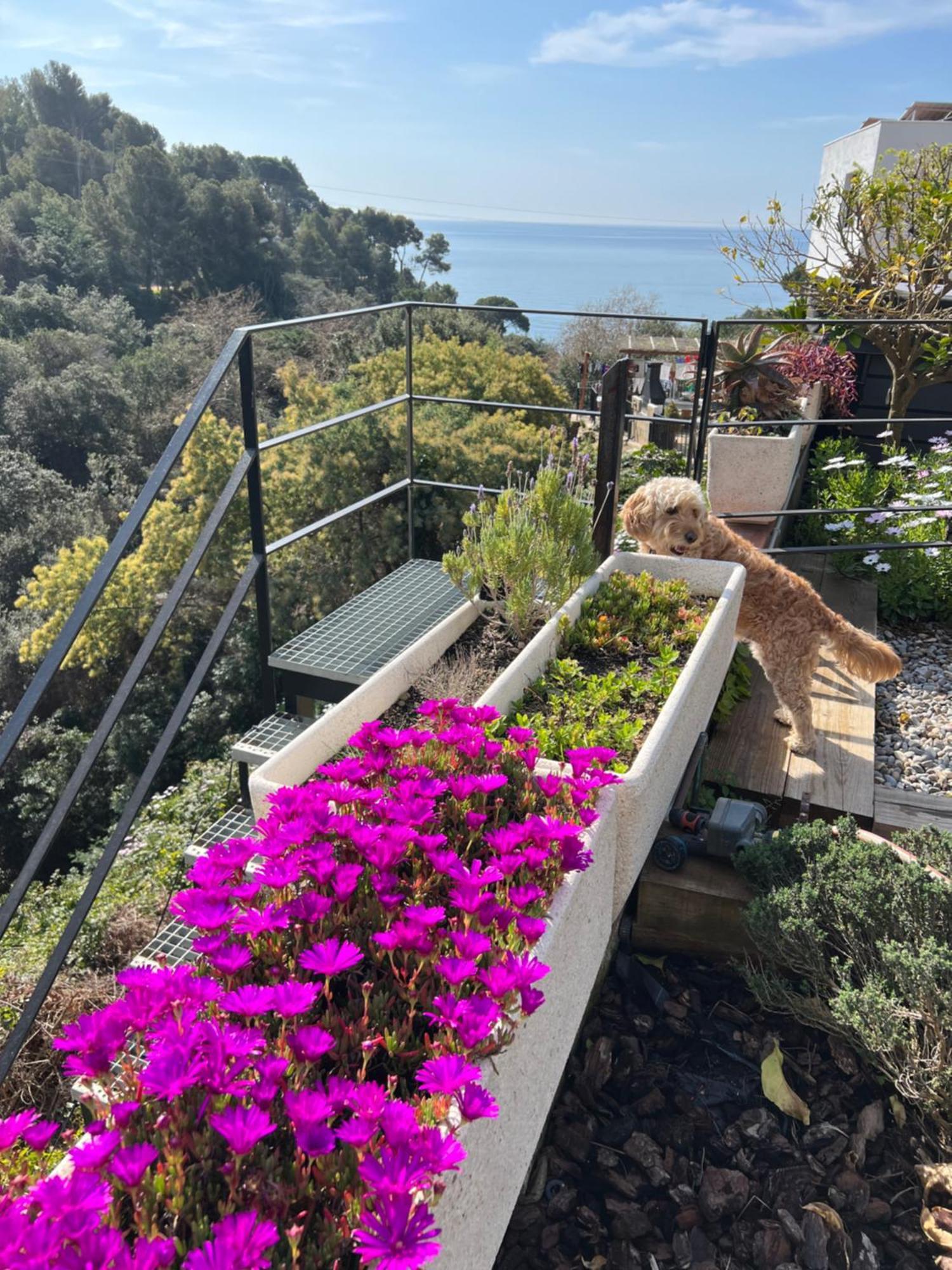 Casa Karian Appartement Tossa de Mar Buitenkant foto